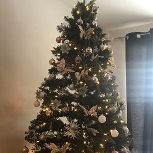 Meet your Posher, Maighan